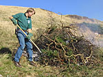 Clearing scrub