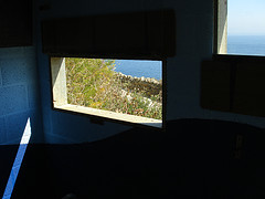 Dolphin Watch Hut