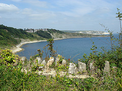 Durlston Bay