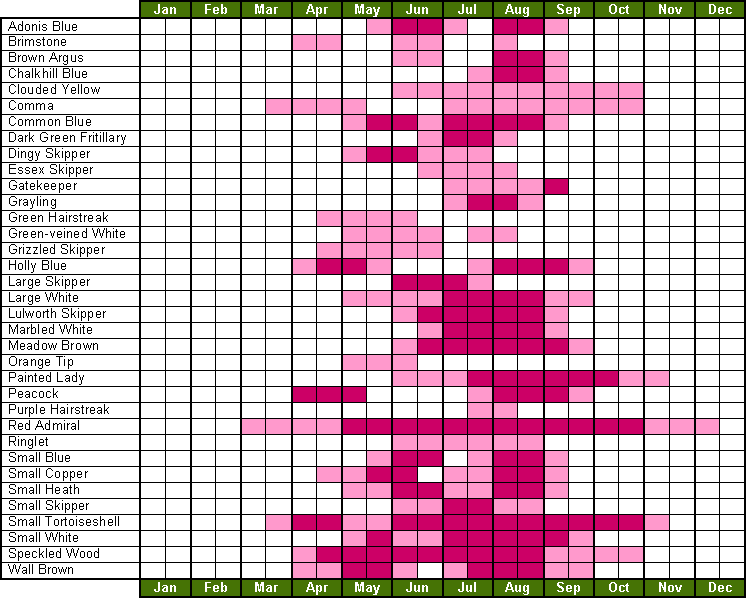 calendar of butterfly flight times