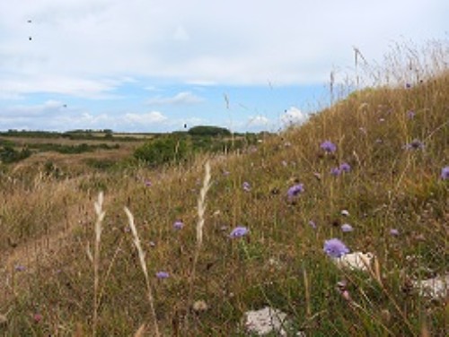 Durlstons National Nature Reserve Guided Walk