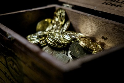 Pirate Medallion Drop-In
