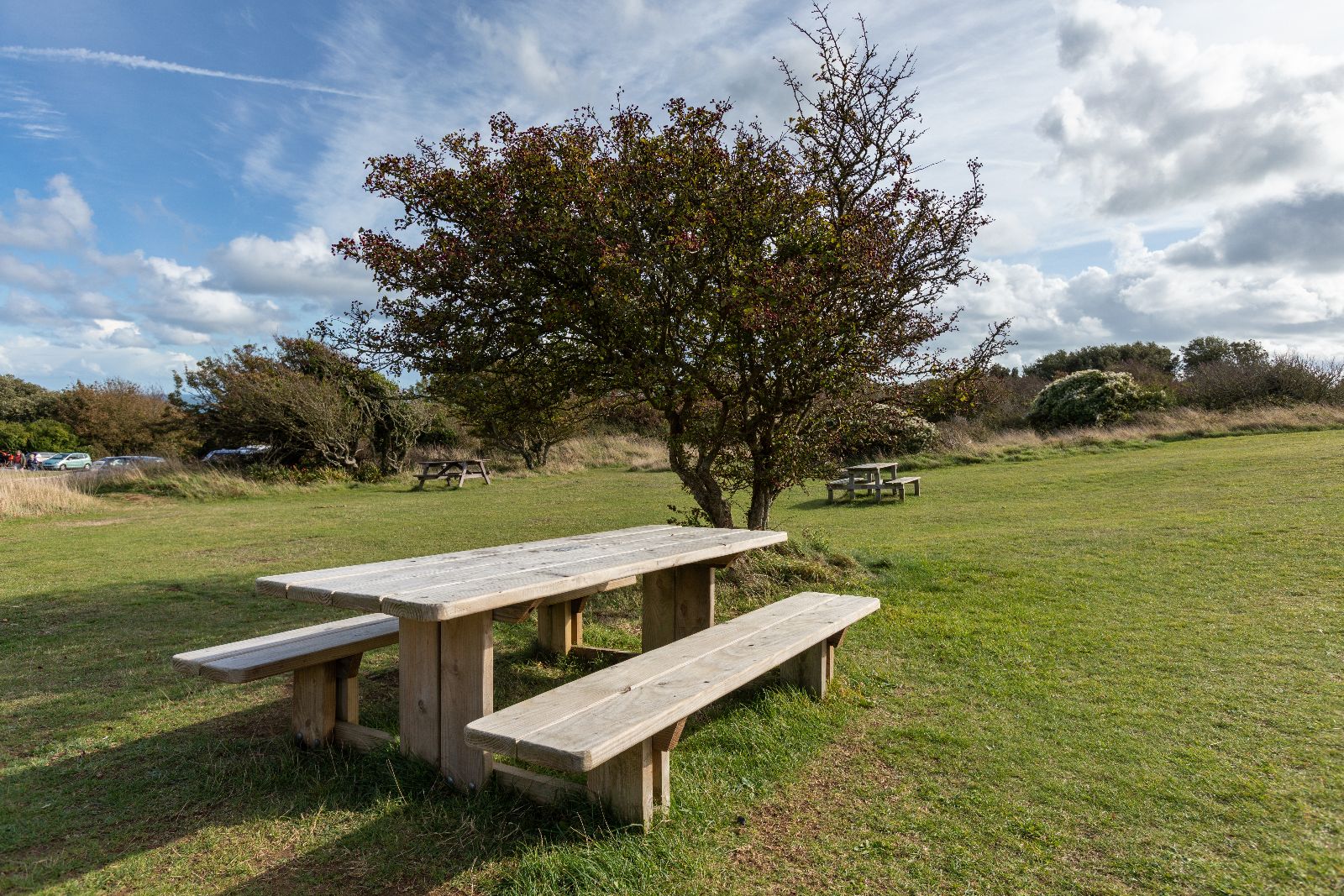 Durslton picnic tables