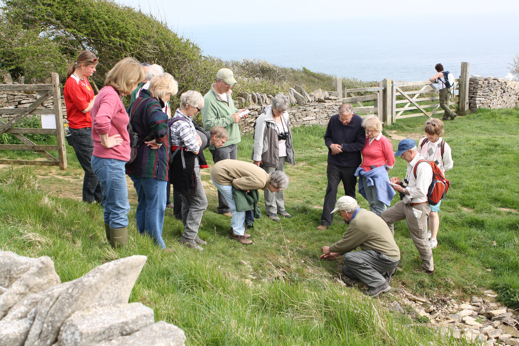 Guided Walk