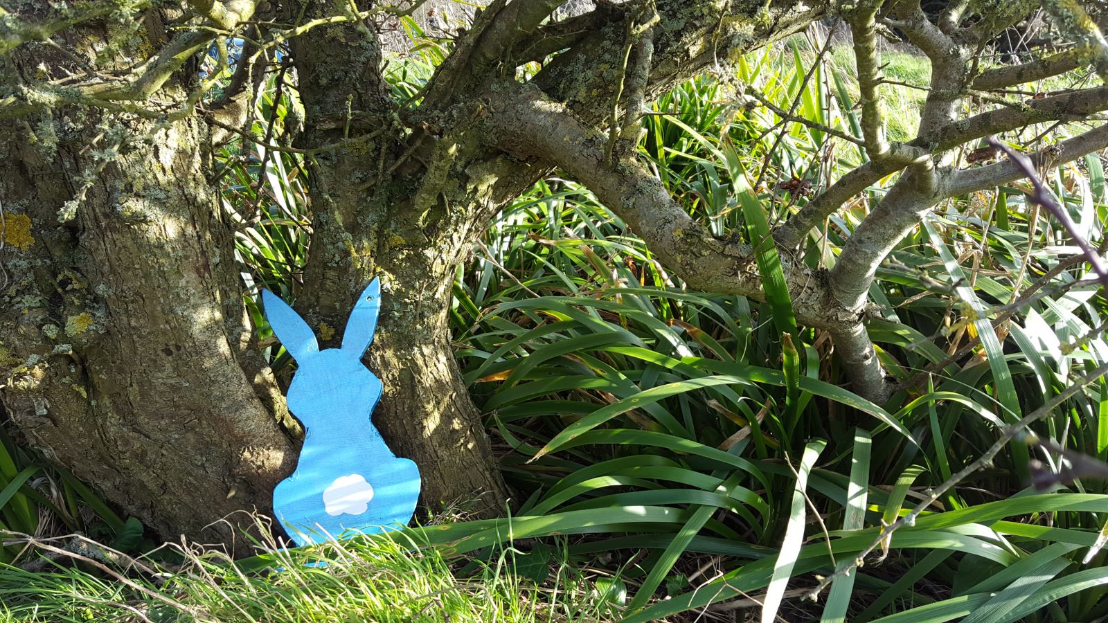 Bonkers Bunnies Childrens Activity Trail 