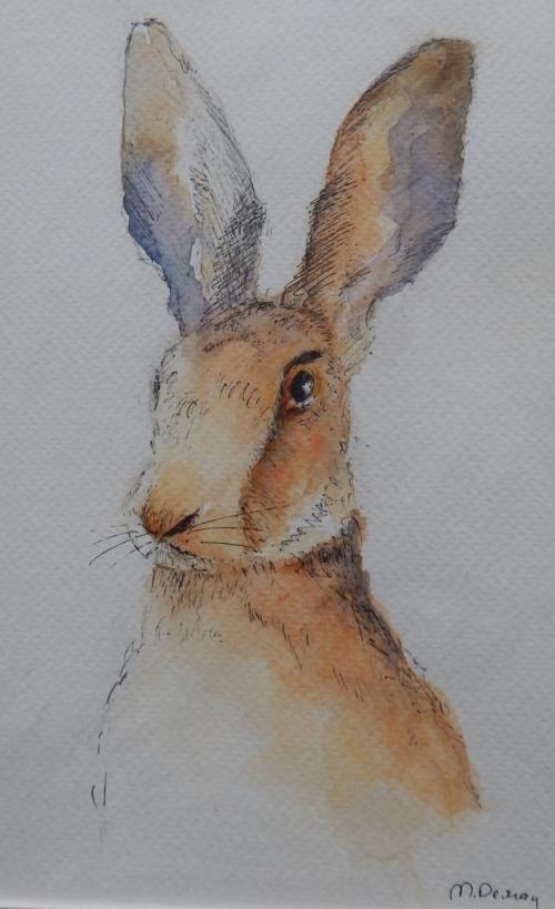 Drawing in Pen and Watercolour 