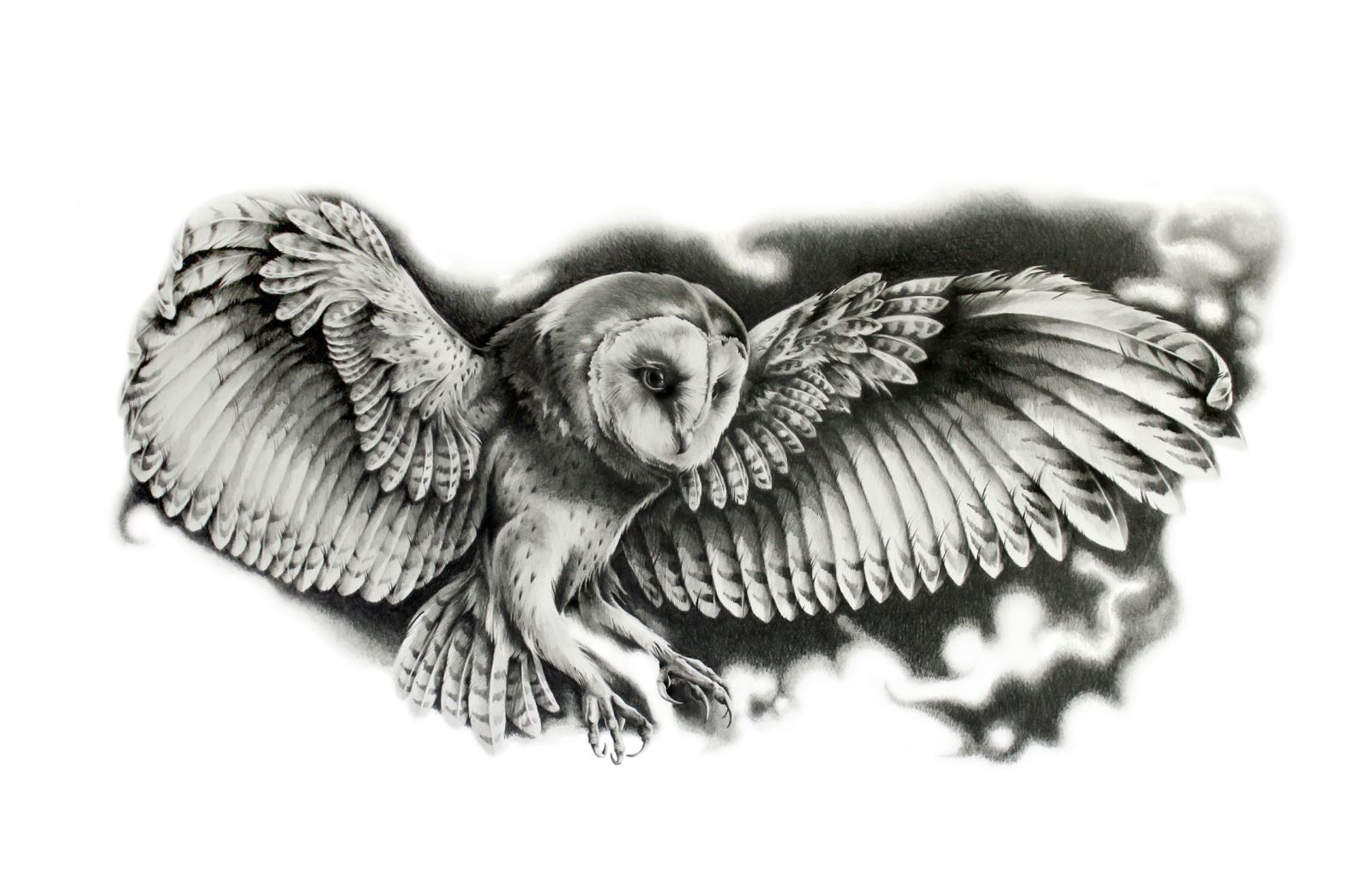 A Parliament Of Owls: Art Display