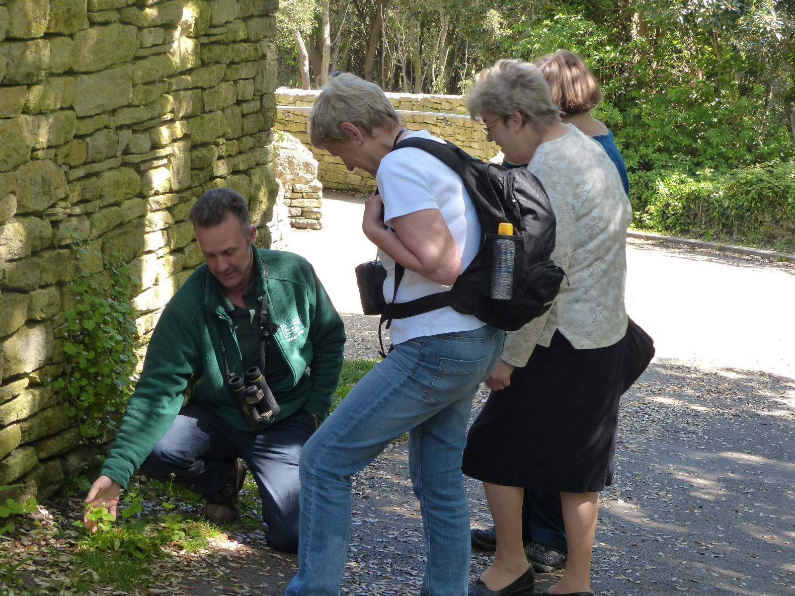 Ranger leading guided walk