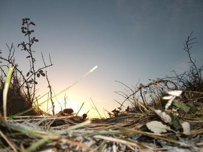 Winter Wonderland: Guided Walk 