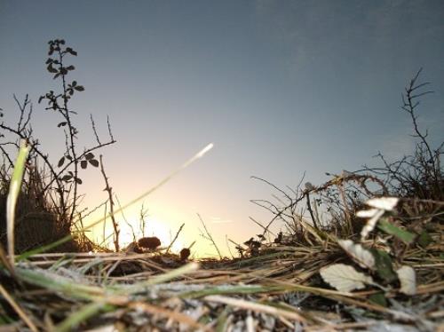 Winter Wonderland: Guided Walk 