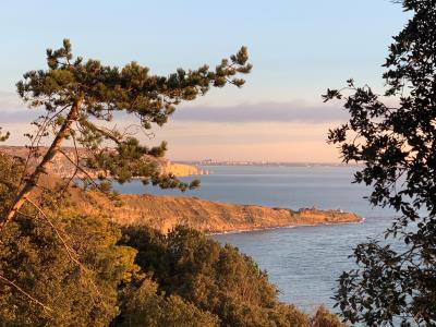 Park to Pier Guided Walk
