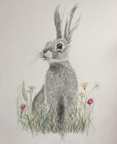 Kids Christmas Drawing Workshop 