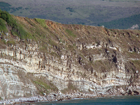 Purbeck Series of roacks