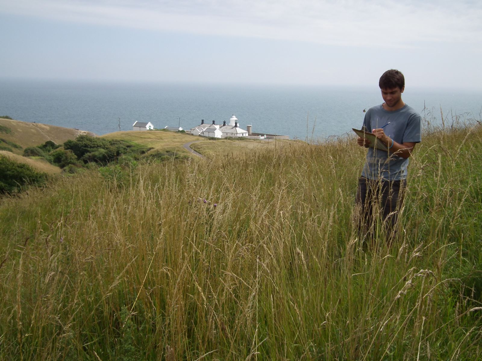 Durlston downland