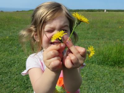 Scavenger Hunt Art: Kids Activity