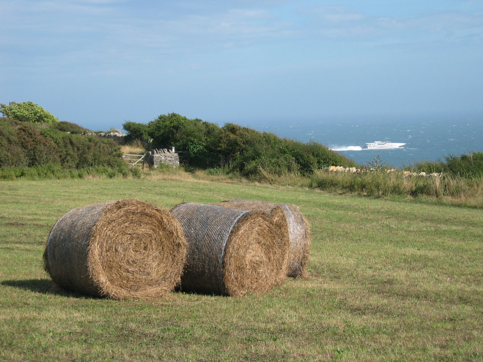 Hay bales in meadow