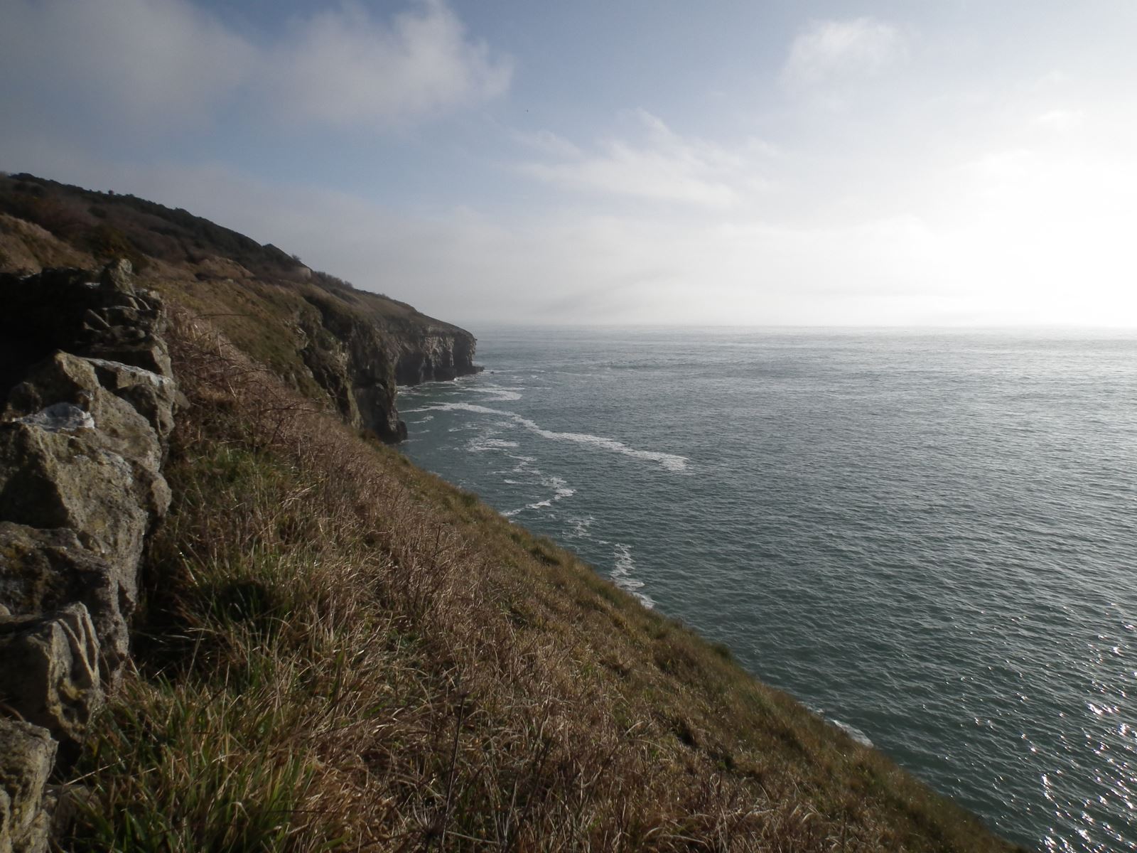 Durlston cliffs