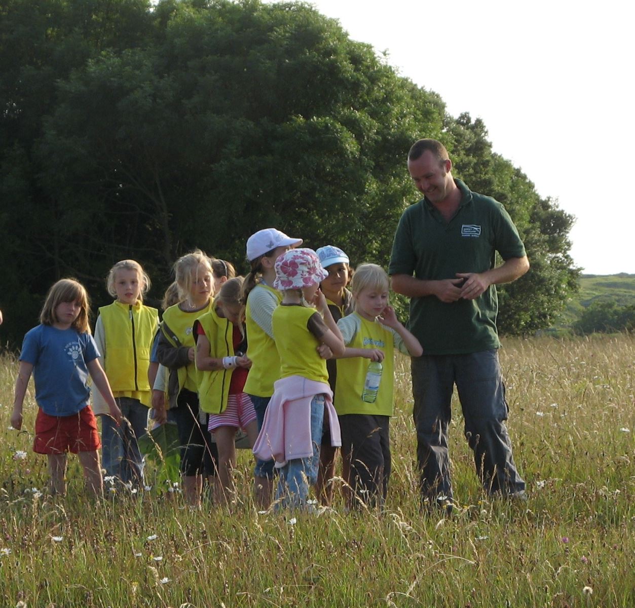 Discovery session in meadows