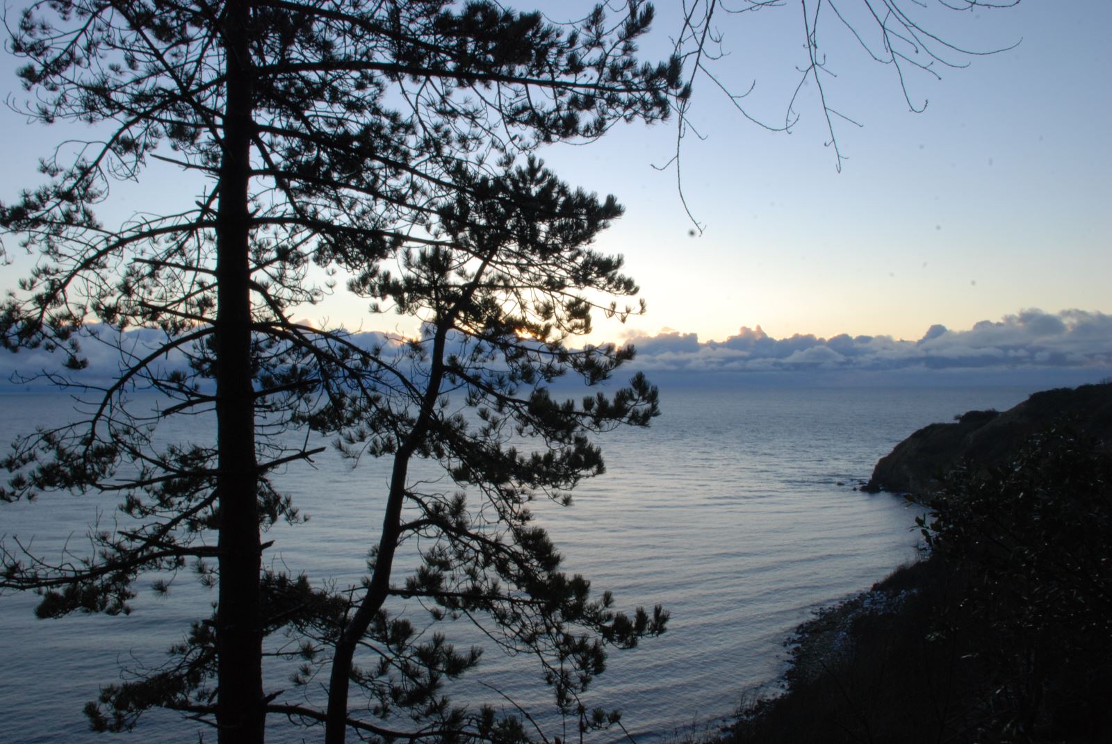 Durlston Bay