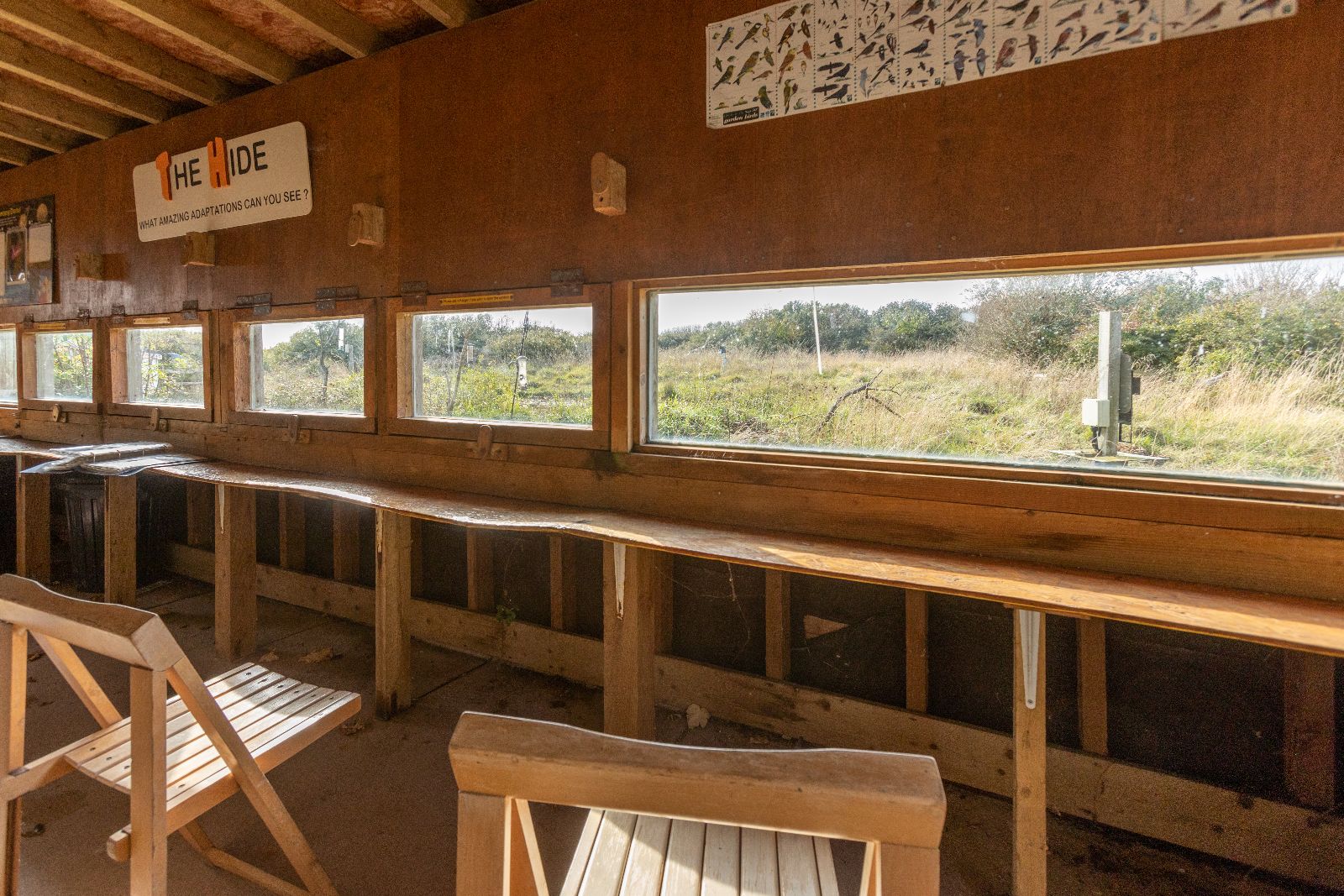 Durlston bird hide