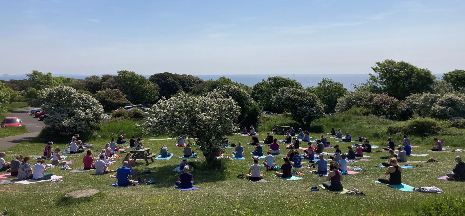 Park Yoga