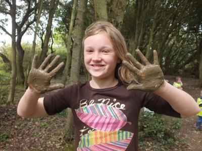 Plant a Sunflower Drop-In