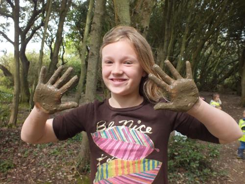 Plant a Sunflower Drop-In