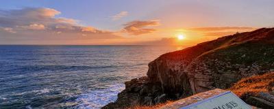 Clifftops - Wildlife and the Sea