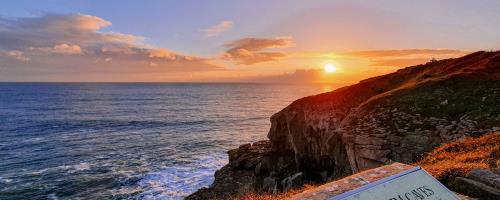 Clifftops - Wildlife and the Sea