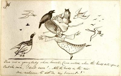 The Birds of Edward Lear - Reality and Nonsense: Display